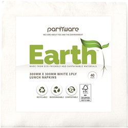 Earth Eco Luncheon Napkin  2 Ply White 300x300mm  40 Sheets