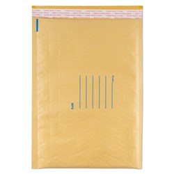 Protext Polycell Mailer  Paper Outer - Bubble Inner 240Mm X 345Mm White Carton 100