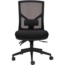 Rapidline Breeze Ergonomic Chair Mesh Back  Black