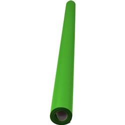 RAINBOW POSTER ROLL 85GSM 760mm x 10m Grass Green 