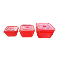 Connoisseur Microwave Containers Set Of 3
