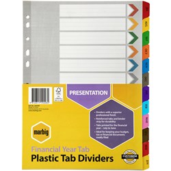 Divider A4 Financial Year Mylar Tab