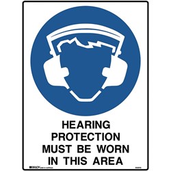 Brady Mandatory Sign Hearing And Eye 450X600Mm Polypropylene